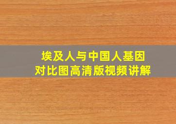 埃及人与中国人基因对比图高清版视频讲解