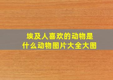 埃及人喜欢的动物是什么动物图片大全大图