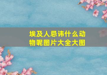 埃及人忌讳什么动物呢图片大全大图