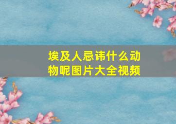 埃及人忌讳什么动物呢图片大全视频