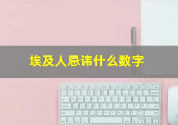 埃及人忌讳什么数字