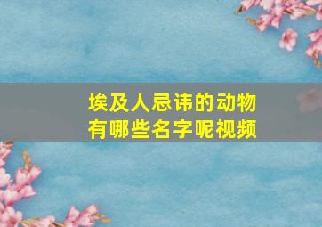 埃及人忌讳的动物有哪些名字呢视频