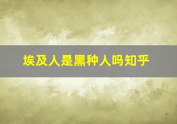 埃及人是黑种人吗知乎