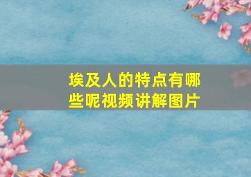 埃及人的特点有哪些呢视频讲解图片