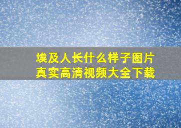 埃及人长什么样子图片真实高清视频大全下载