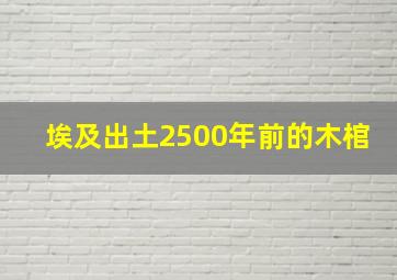 埃及出土2500年前的木棺