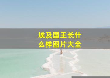 埃及国王长什么样图片大全