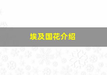 埃及国花介绍