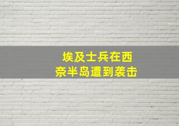 埃及士兵在西奈半岛遭到袭击