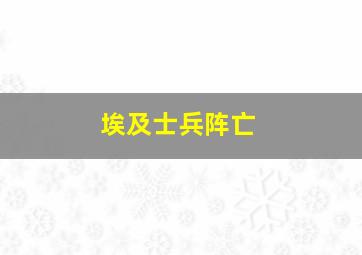 埃及士兵阵亡