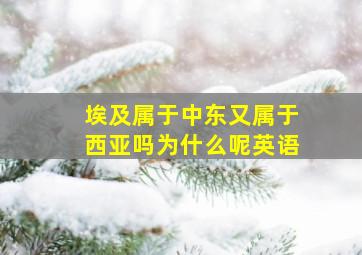 埃及属于中东又属于西亚吗为什么呢英语