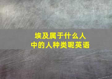 埃及属于什么人中的人种类呢英语