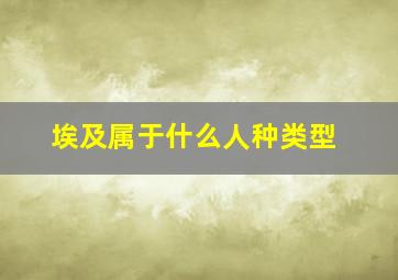 埃及属于什么人种类型