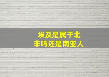 埃及是属于北非吗还是南亚人