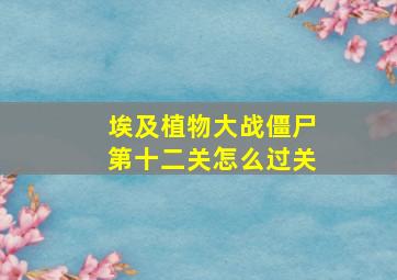 埃及植物大战僵尸第十二关怎么过关