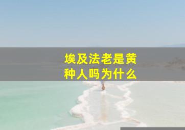 埃及法老是黄种人吗为什么