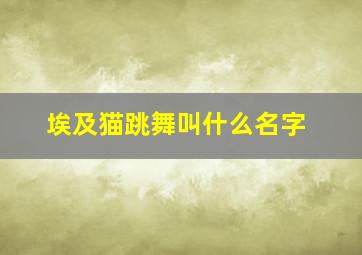 埃及猫跳舞叫什么名字