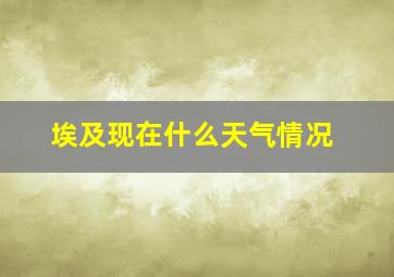 埃及现在什么天气情况