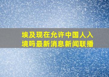 埃及现在允许中国人入境吗最新消息新闻联播