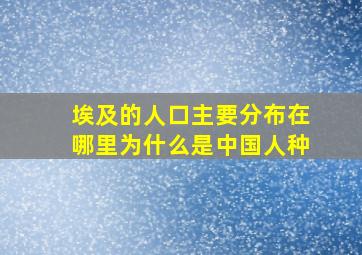 埃及的人口主要分布在哪里为什么是中国人种