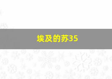 埃及的苏35