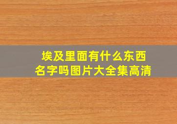 埃及里面有什么东西名字吗图片大全集高清