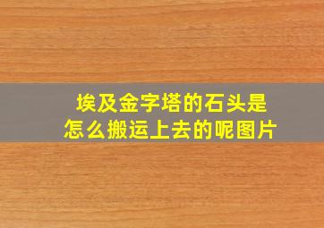 埃及金字塔的石头是怎么搬运上去的呢图片