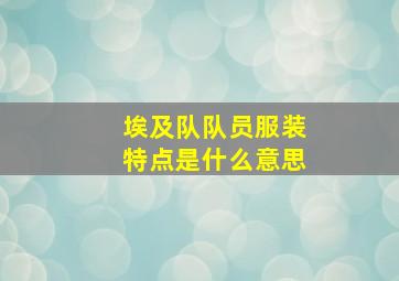 埃及队队员服装特点是什么意思