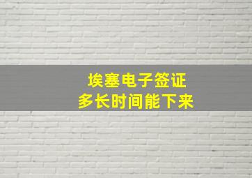 埃塞电子签证多长时间能下来