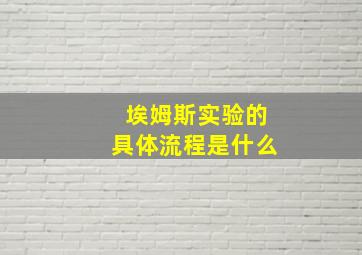 埃姆斯实验的具体流程是什么