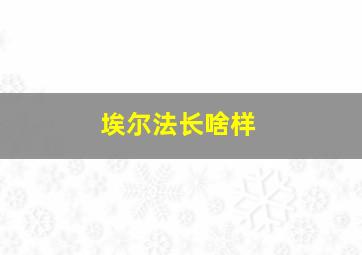 埃尔法长啥样