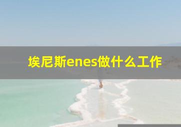 埃尼斯enes做什么工作