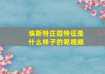 埃斯特庄园特征是什么样子的呢视频