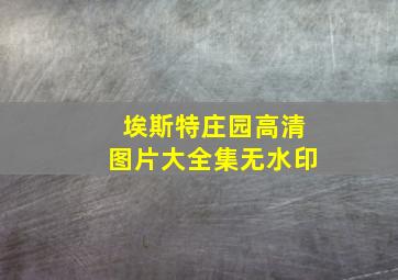 埃斯特庄园高清图片大全集无水印