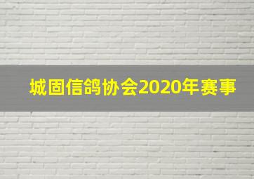 城固信鸽协会2020年赛事