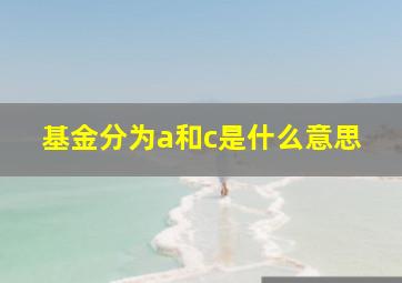 基金分为a和c是什么意思