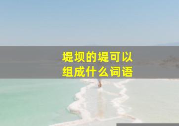 堤坝的堤可以组成什么词语