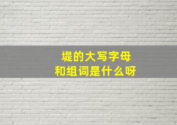 堤的大写字母和组词是什么呀