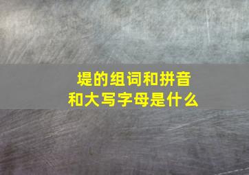 堤的组词和拼音和大写字母是什么