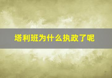 塔利班为什么执政了呢