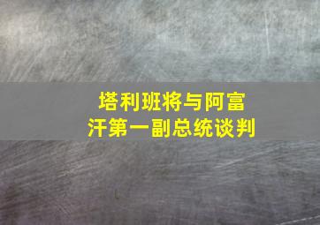 塔利班将与阿富汗第一副总统谈判