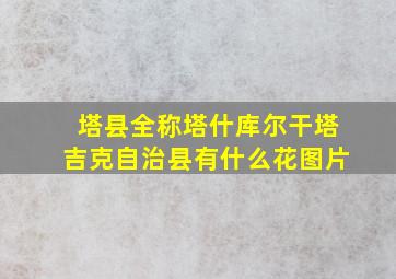 塔县全称塔什库尔干塔吉克自治县有什么花图片