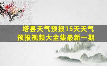 塔县天气预报15天天气预报视频大全集最新一期