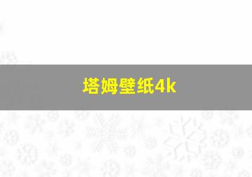 塔姆壁纸4k