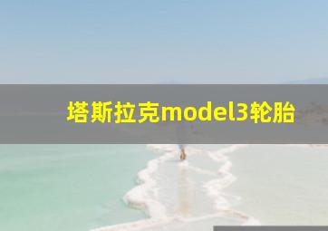 塔斯拉克model3轮胎