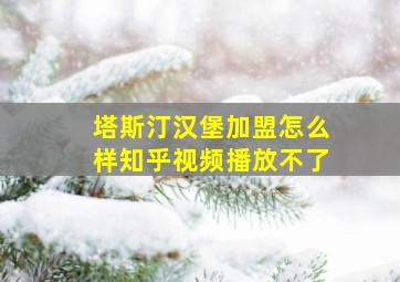 塔斯汀汉堡加盟怎么样知乎视频播放不了