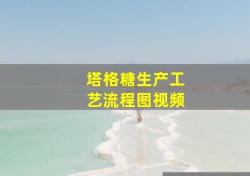 塔格糖生产工艺流程图视频