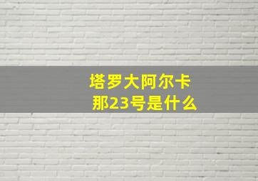 塔罗大阿尔卡那23号是什么