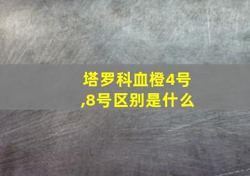 塔罗科血橙4号,8号区别是什么