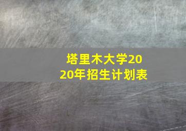 塔里木大学2020年招生计划表